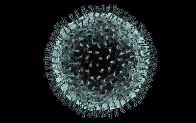 ¿Qué saber sobre el coronavirus?
